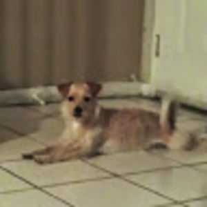 Meet your Posher, Araceli